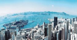 Loja Comercial de 230 m² no Coração do Centro –